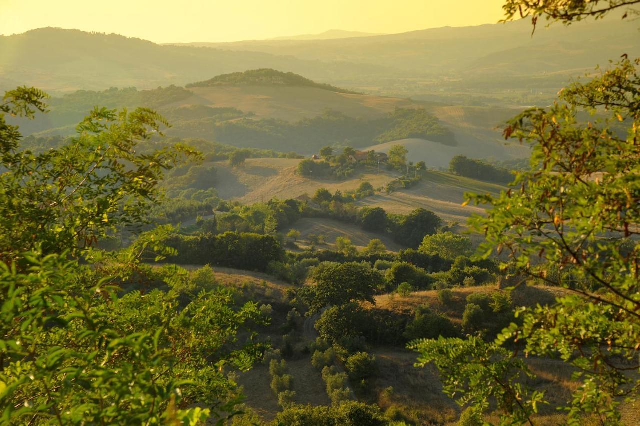 Castello Ginori Di Querceto Lägenhet Querceto  Exteriör bild